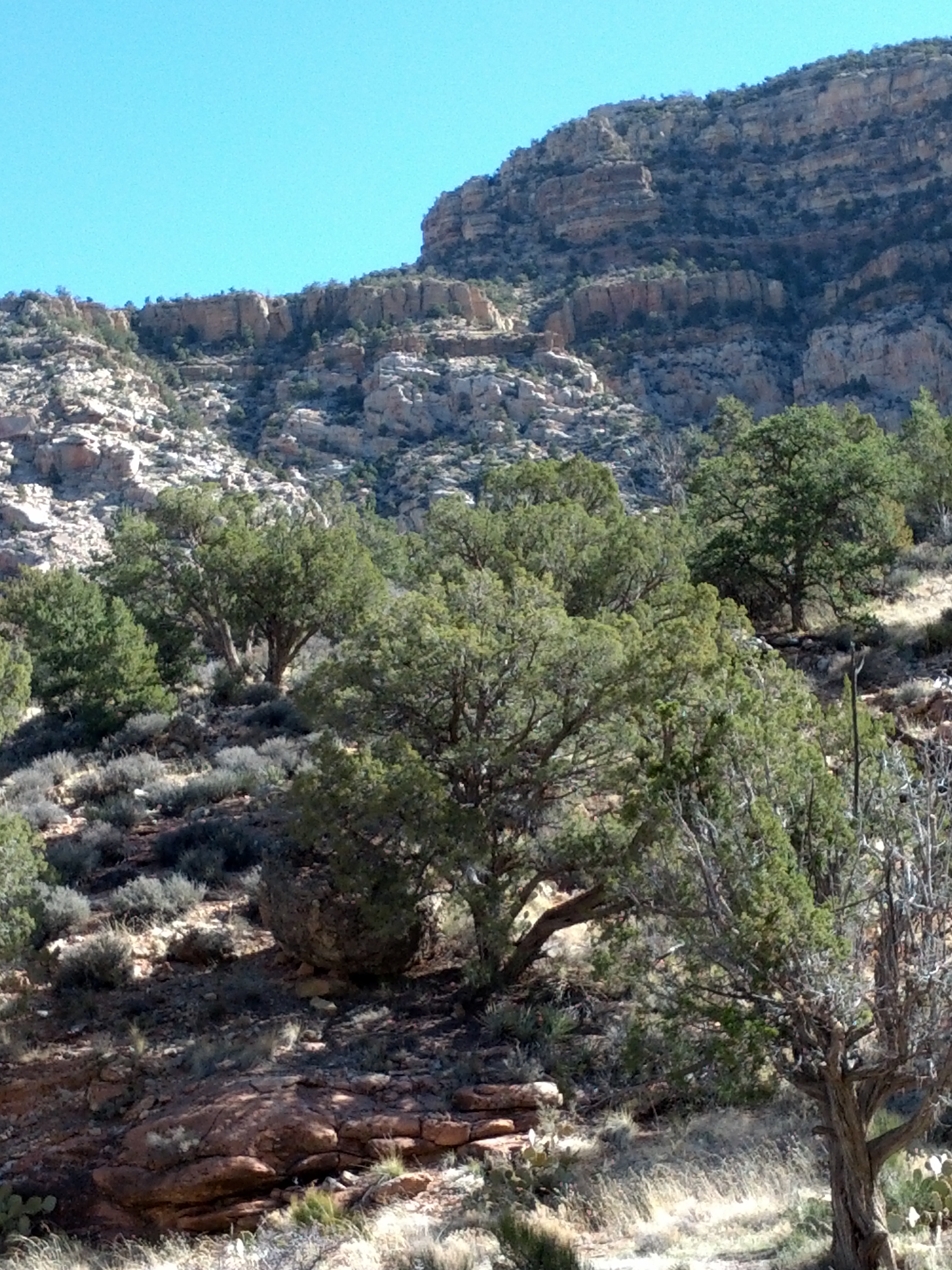 IMG_20130314_100125.jpg